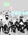 EXO's Transmigration into a Female Match