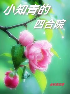 The Siheyuan of the Young Educated Youth