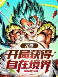 Dragon Ball: Get Free Realm at the beginning